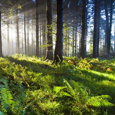 万博max官方入口截图