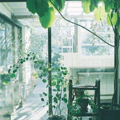 乐鱼官方-登录入口