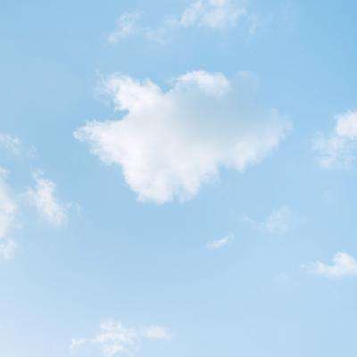 IM体育官方网站入口