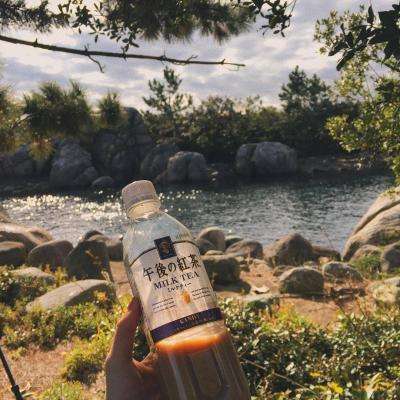 博鱼app官网下载