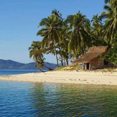 乐发app下载安装官网