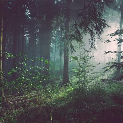 爱体育APPapp下载