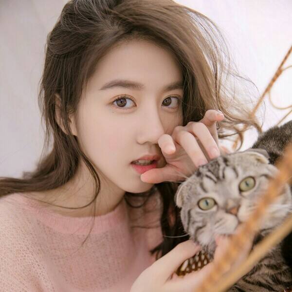 B体育手机版下载